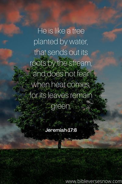 Jeremiah 17_8