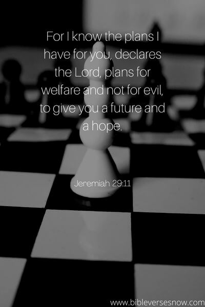 Jeremiah 29_11