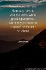 40 Best Bible Verses For Nursing Home Residents – Bible Verses of the day