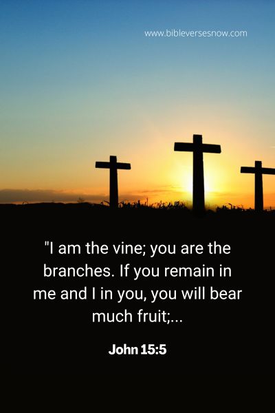 John 15_5