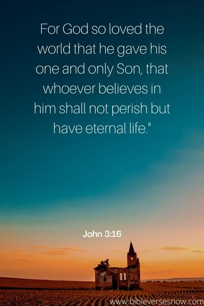 John 3_16