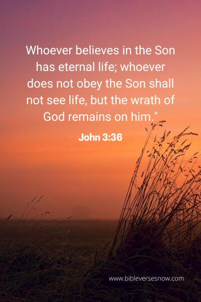 John 3_36