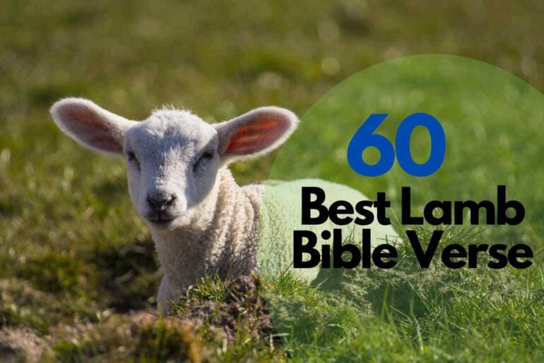 Lamb Bible Verse