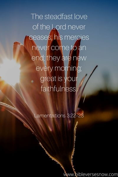 Lamentations 3_22-23