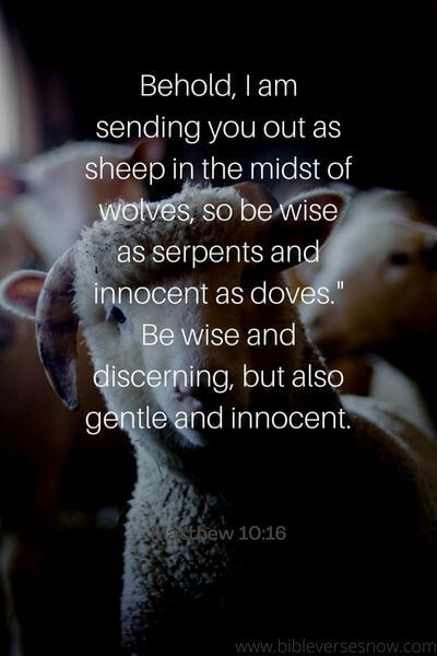 Matthew 10_16