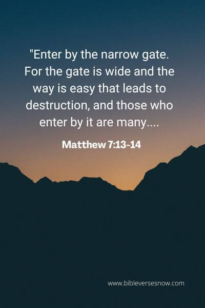 Matthew 7_13-14