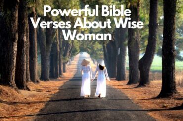 Bible verses about stupidity – Bible Verses of the day