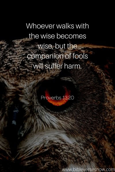 Proverbs 13_20