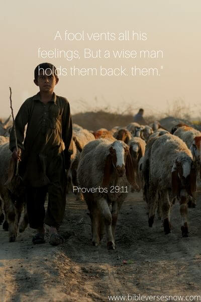 Proverbs 29_11