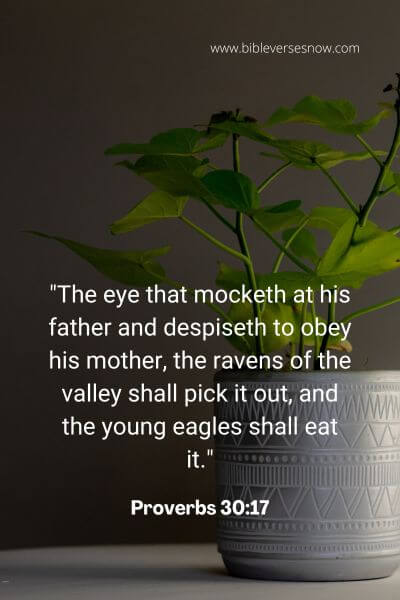 Proverbs 30_17