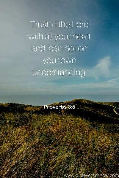 Proverbs 3_5