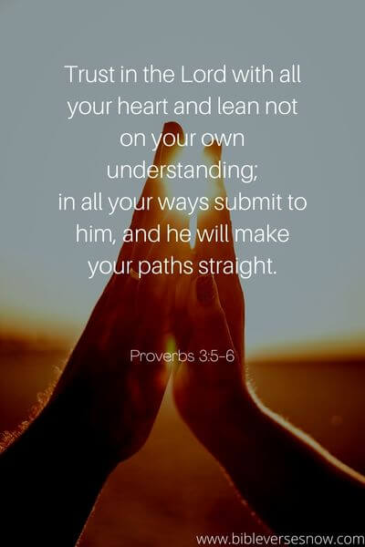 Proverbs 3_5-6