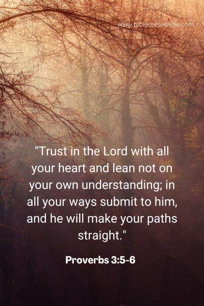 Proverbs 3_5-6