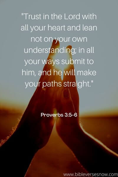 Proverbs 3_5-6