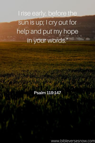 Psalm 119_147