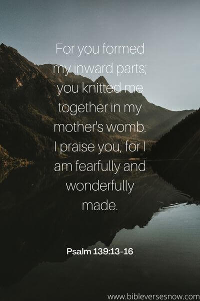 Psalm 139_13-16