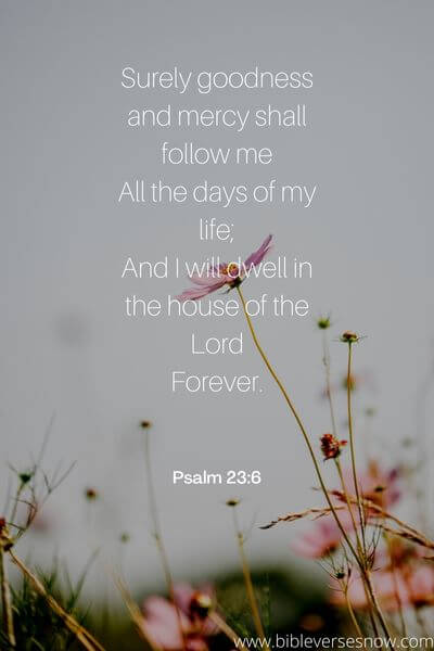 Psalm 23_6