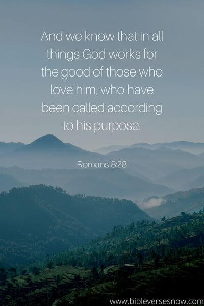 Romans 8_28