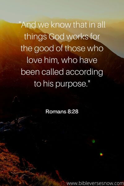 Romans 8_28