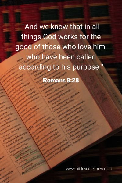 Romans 8_28