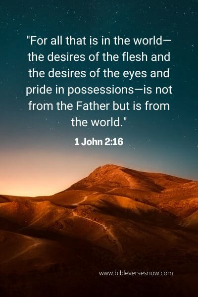 1 John 2_16