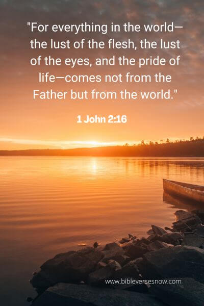1 John 2_16