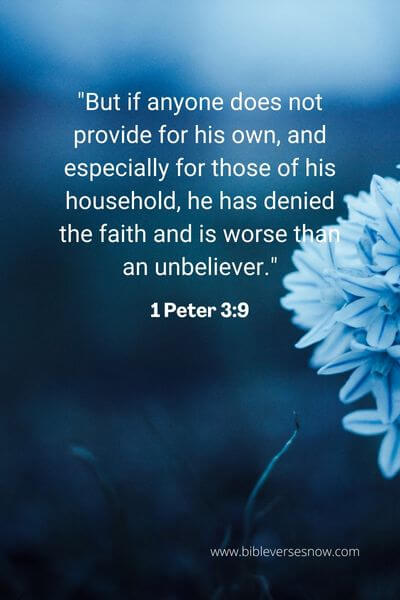 1 Peter 3_9