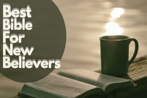 Best Bible For New Believers