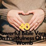 Bible Verses On Fruitfulness Of The Womb