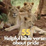 Bible verses about pride