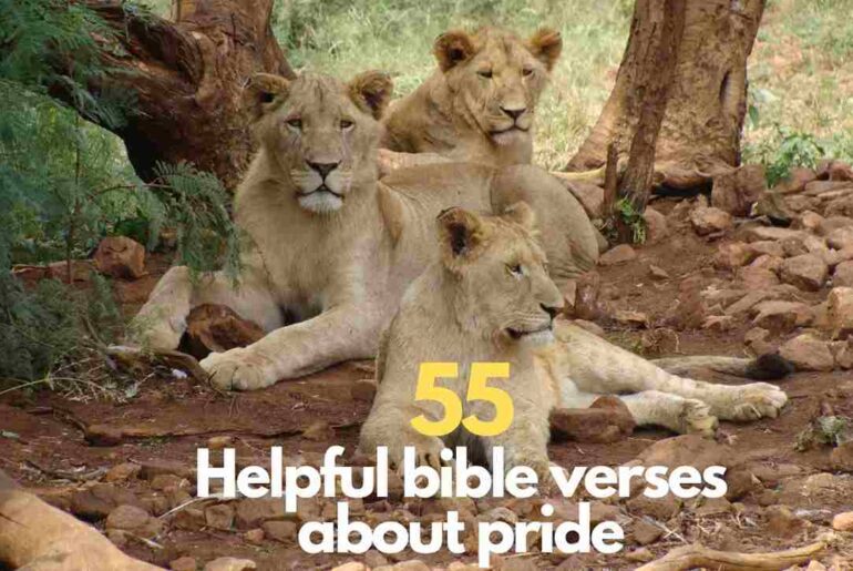 Bible verses about pride