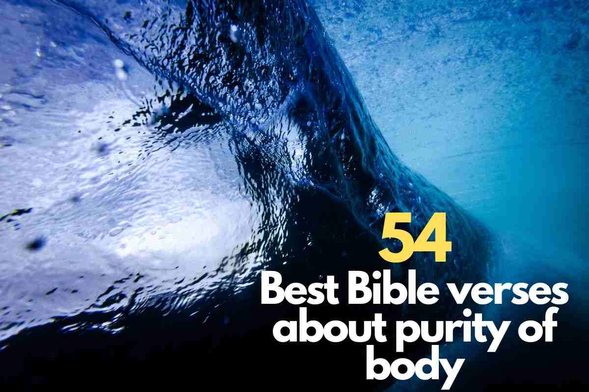 Bible verses about purity of body