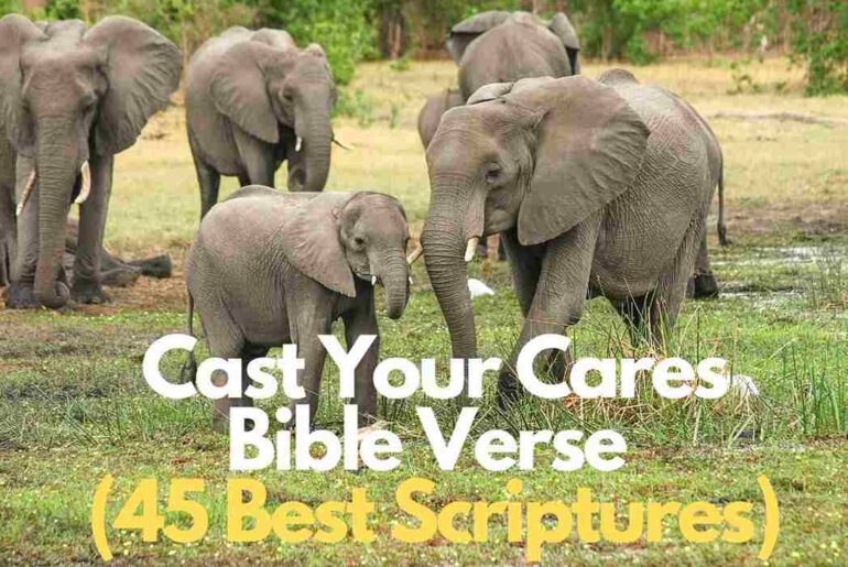 Cast Your Cares Bible Verse