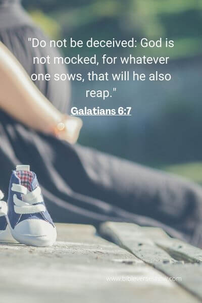 Galatians 6_7