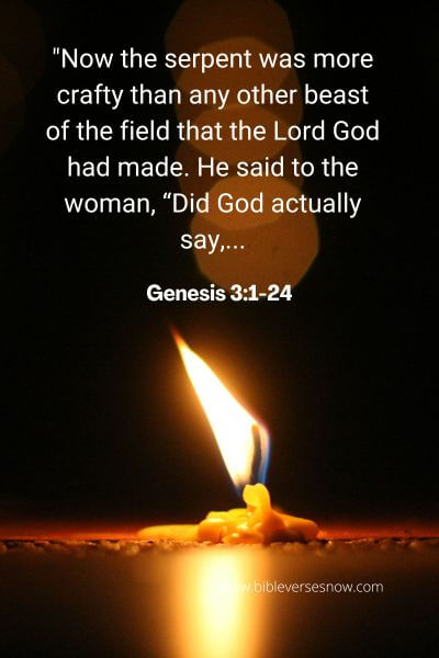 Genesis 3_1-24
