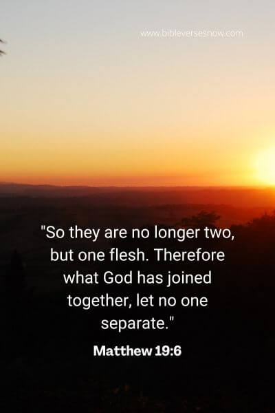 Matthew 19_6
