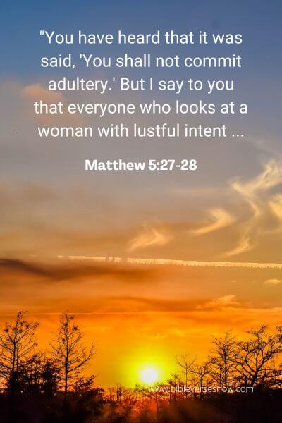 Matthew 5_27-28