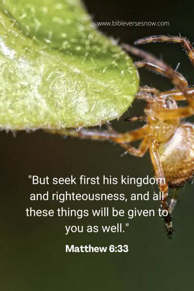 Matthew 6_33