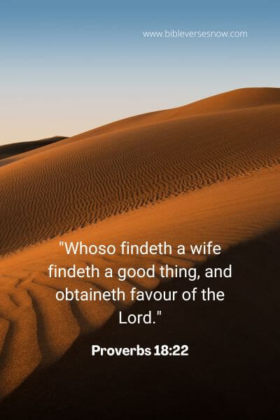 Proverbs 18_22