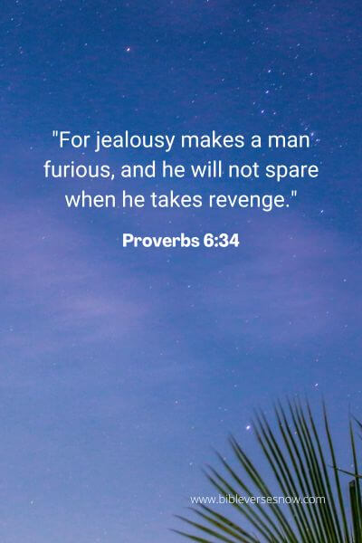 Proverbs 6_34