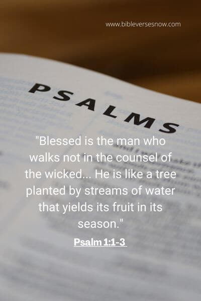 Psalm 1_1-3 