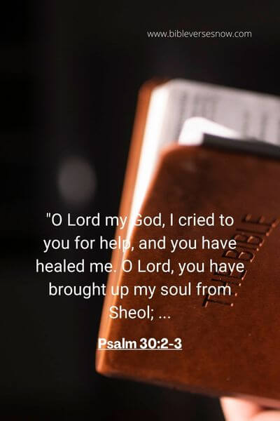 Psalm 30_2-3