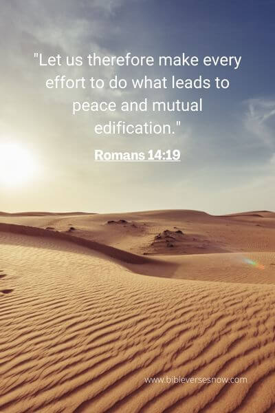Romans 14_19