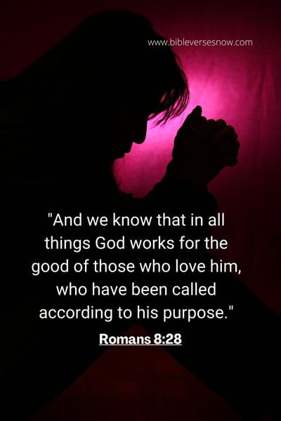 Romans 8_28