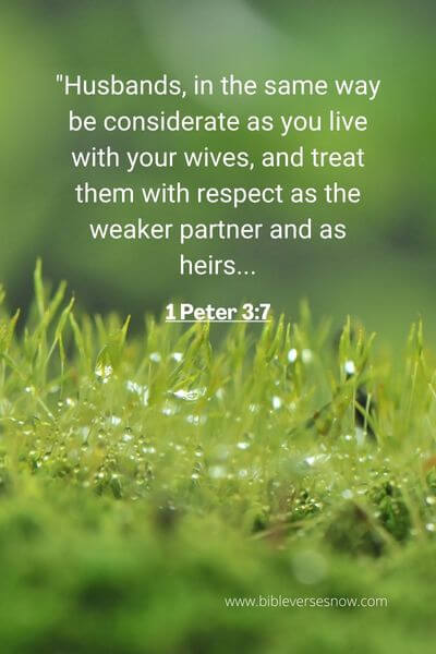 1 Peter 3_7