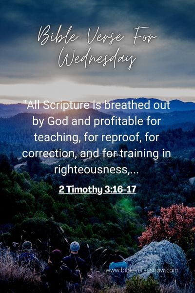 2 Timothy 3_16-17