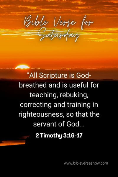 2 Timothy 3_16-17