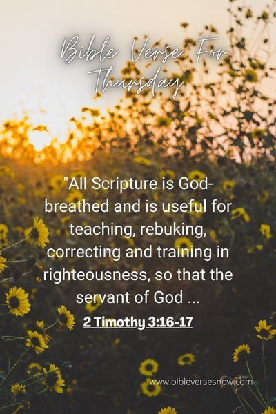 2 Timothy 3_16-17