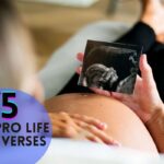 Best Pro Life Bible Verses