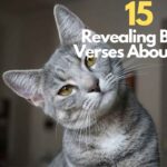 Bible Verses About Cat